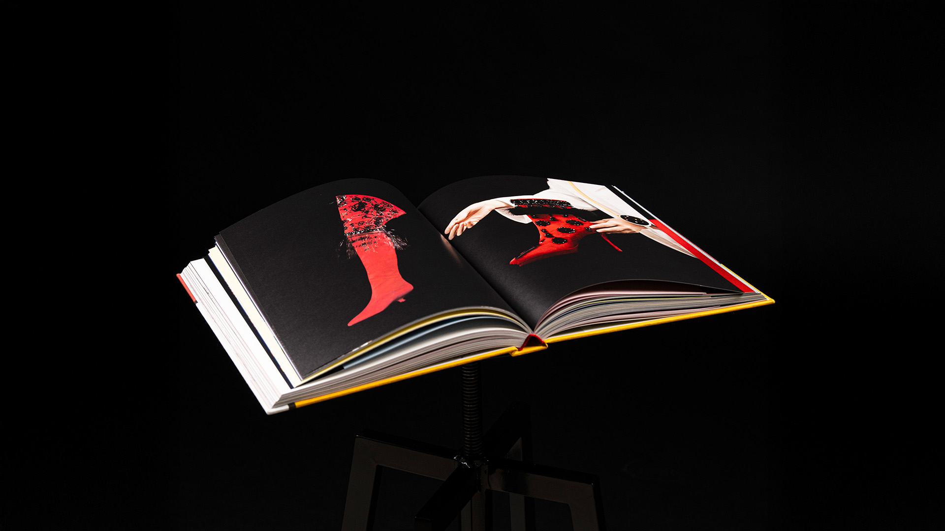 immagine libro roger viver