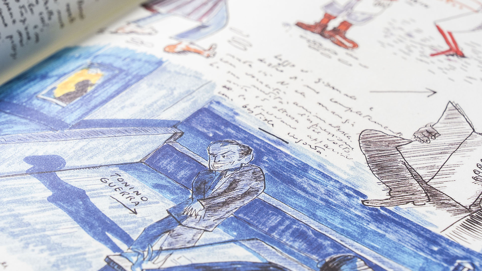immagine libri federico fellini