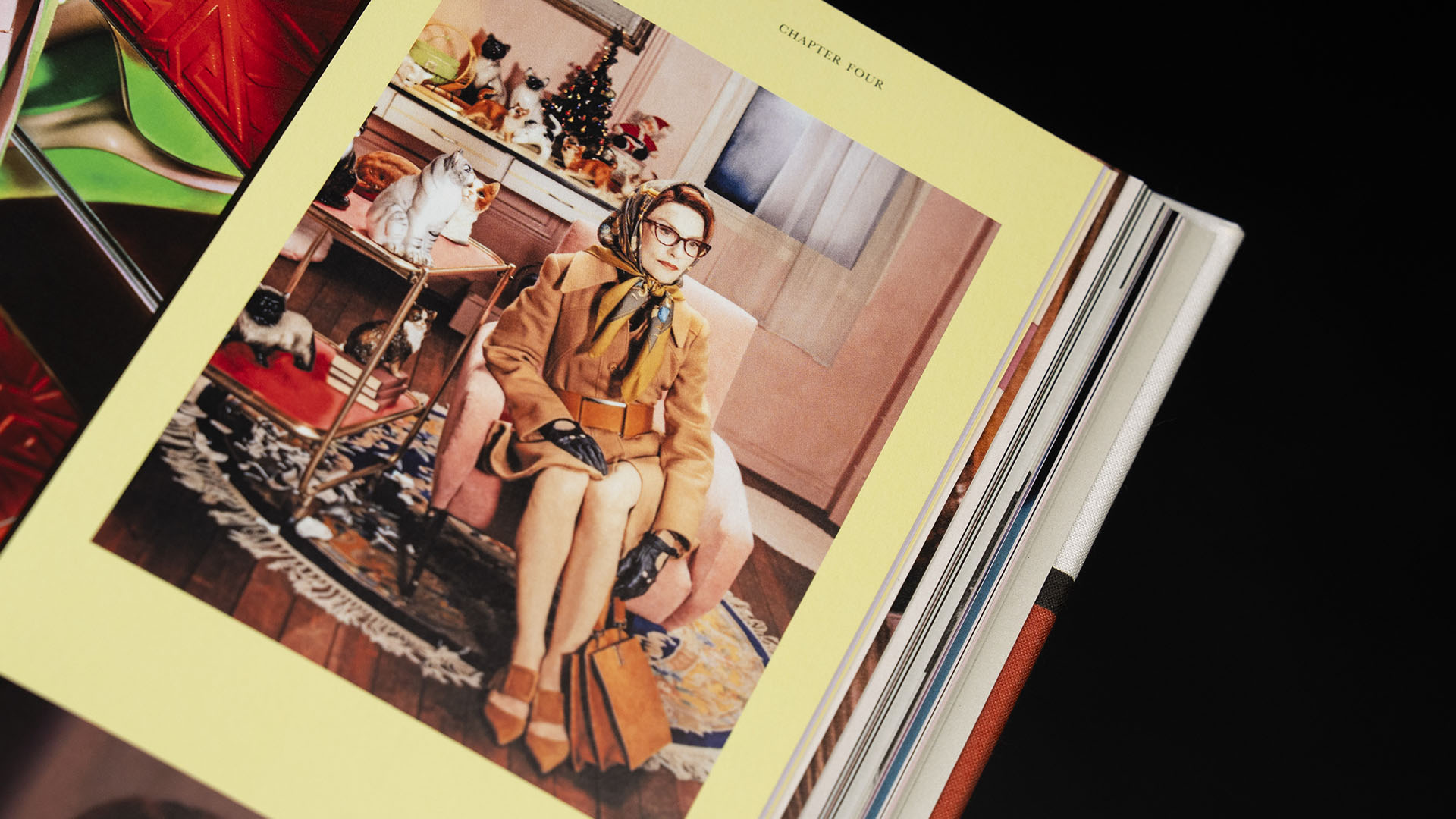 immagine libro roger viver