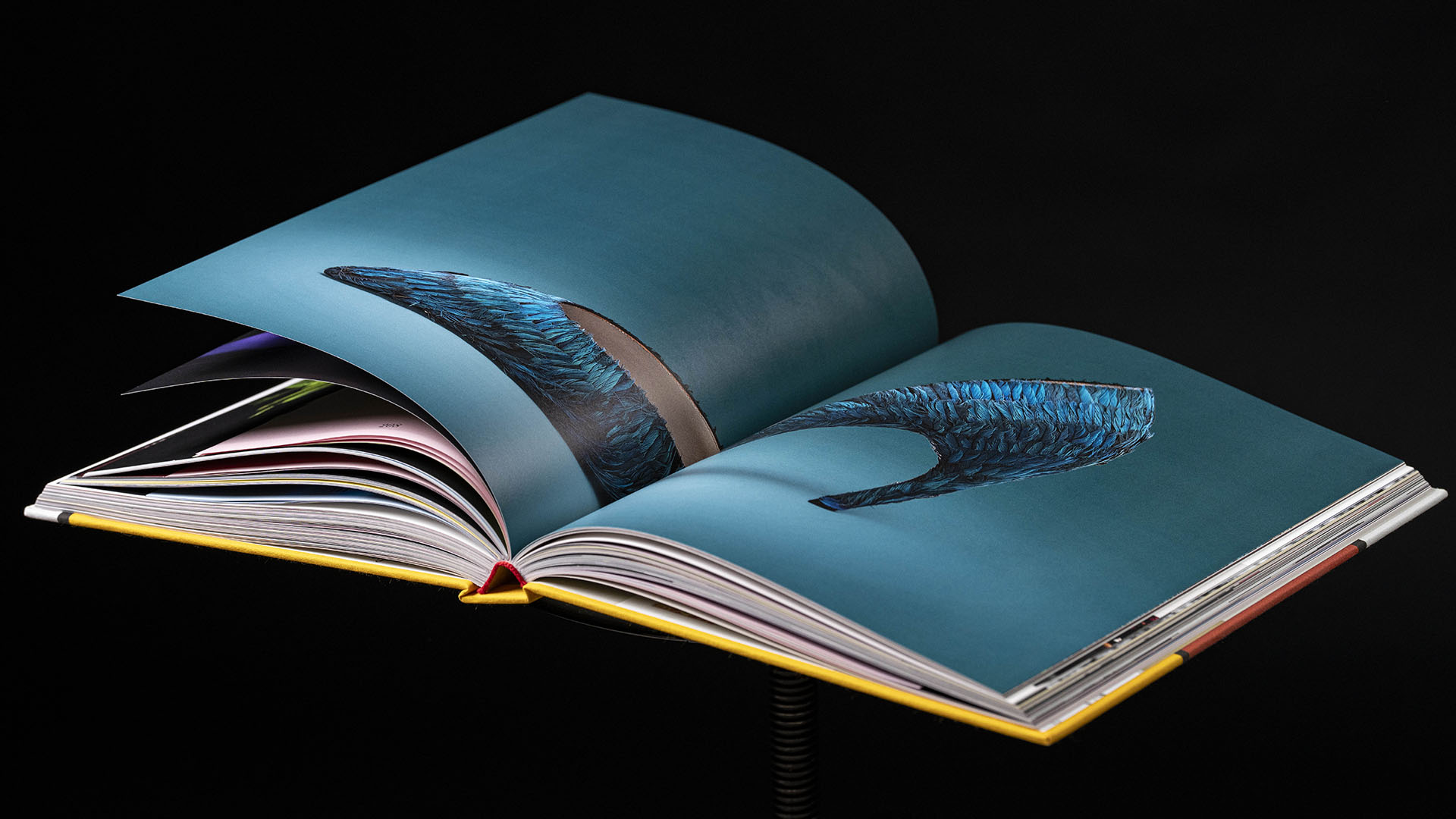 immagine libro roger viver