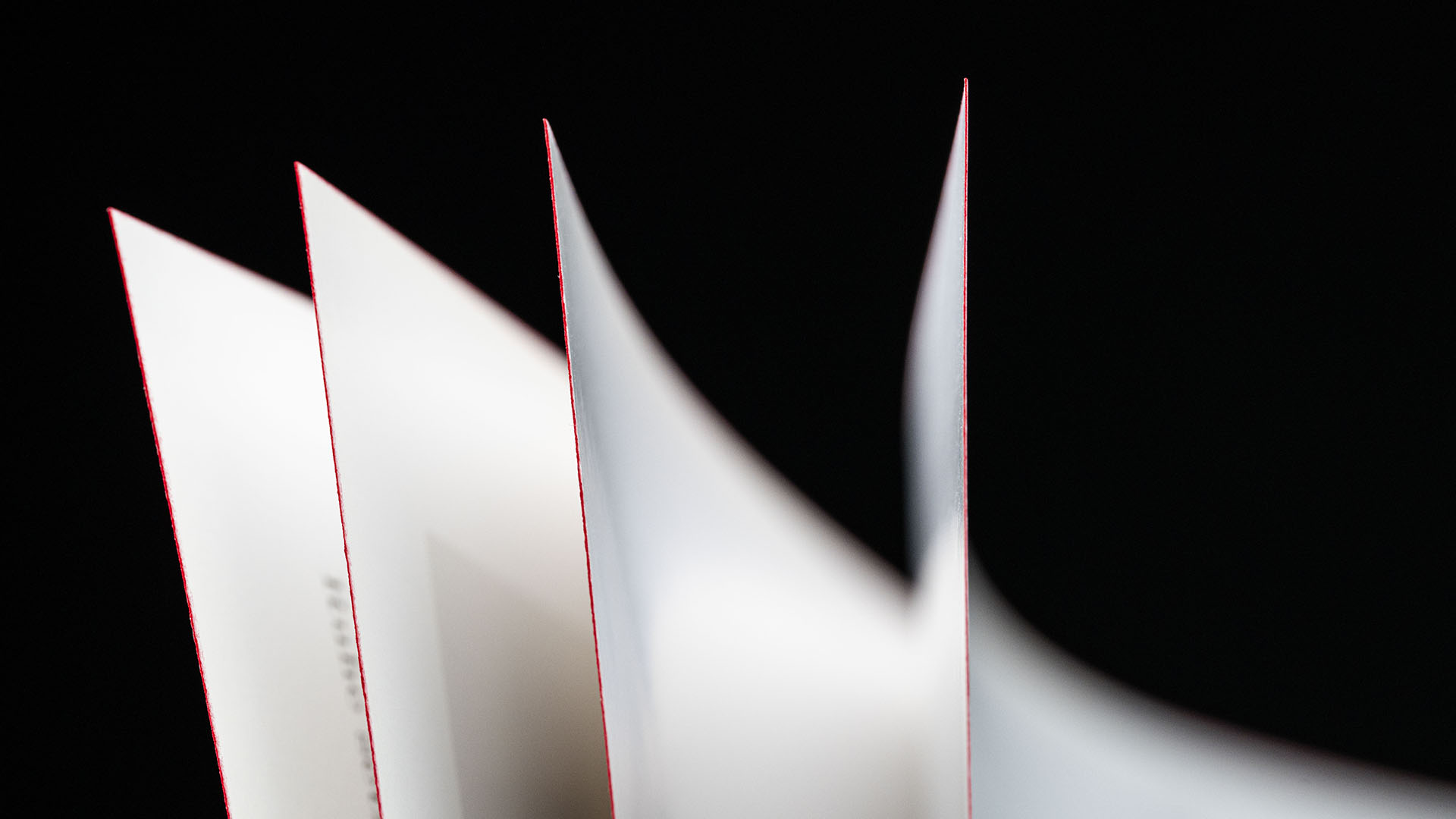 immagine libro shoes a-z