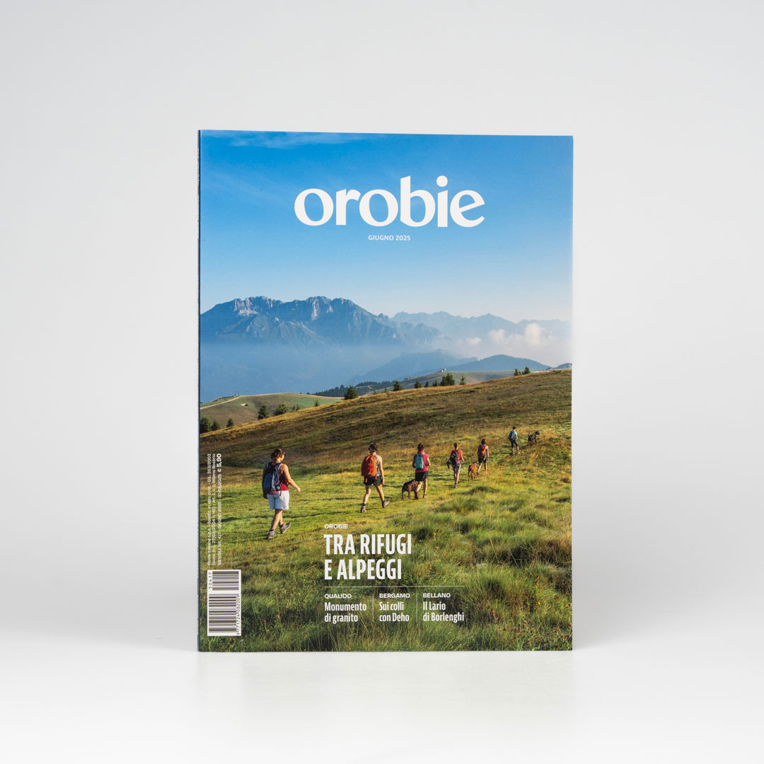 immagine libro orobie
