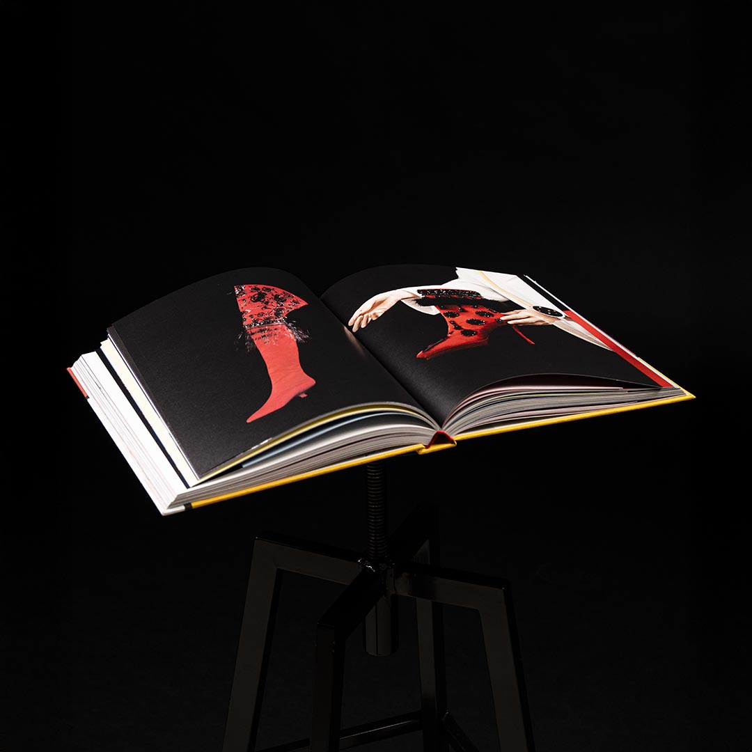 immagine libro roger viver